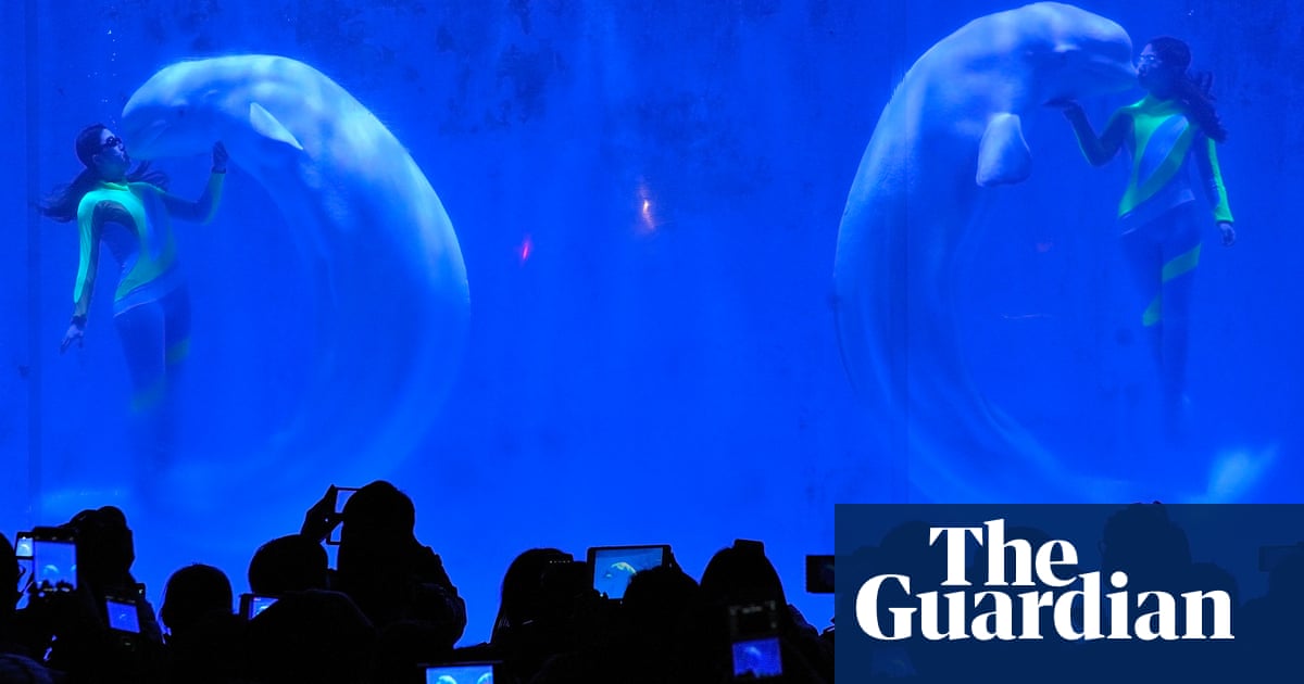 New year’s eve, babylon style Photo highlights of the day: New Year's Eve preparations and temperatures drop | News | The Guardian