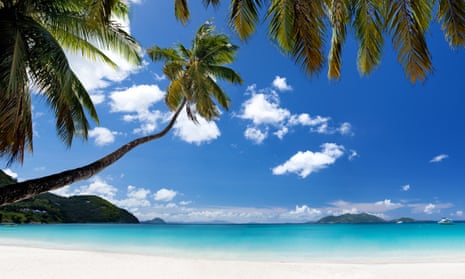 palm tree and white sand beach at Cane Garden Bay, Tortola, British Virgin Islands