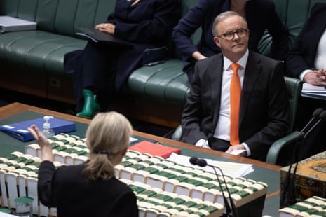 Sussan Ley makes a point of order while Anthony Albanese avoids her gaze