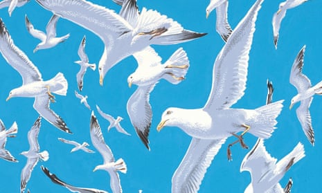 Detail from Neil Gower’s illustration of gulls for As Kingfishers Catch Fire
