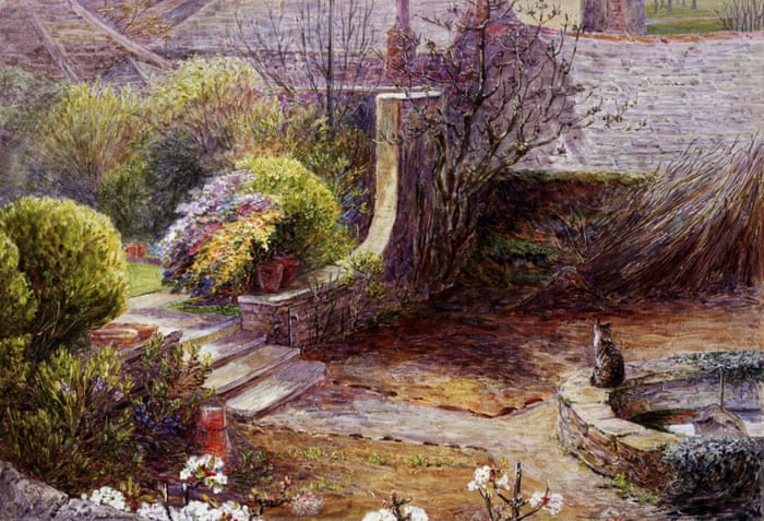 beatrix potter s landscape inspirations in pictures books the guardian