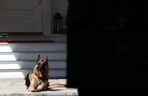 Champ, lays down during speeches during a Joining Forces service event in Washington, DC in 2012.