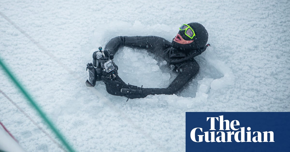 Ice dives, walrus snaps and whale encounters: the man telling extreme stories of an Arctic at risk | Global development