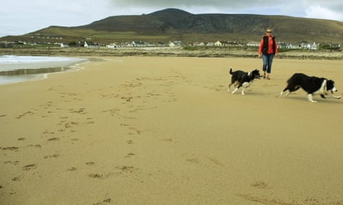 coast to ghost irish