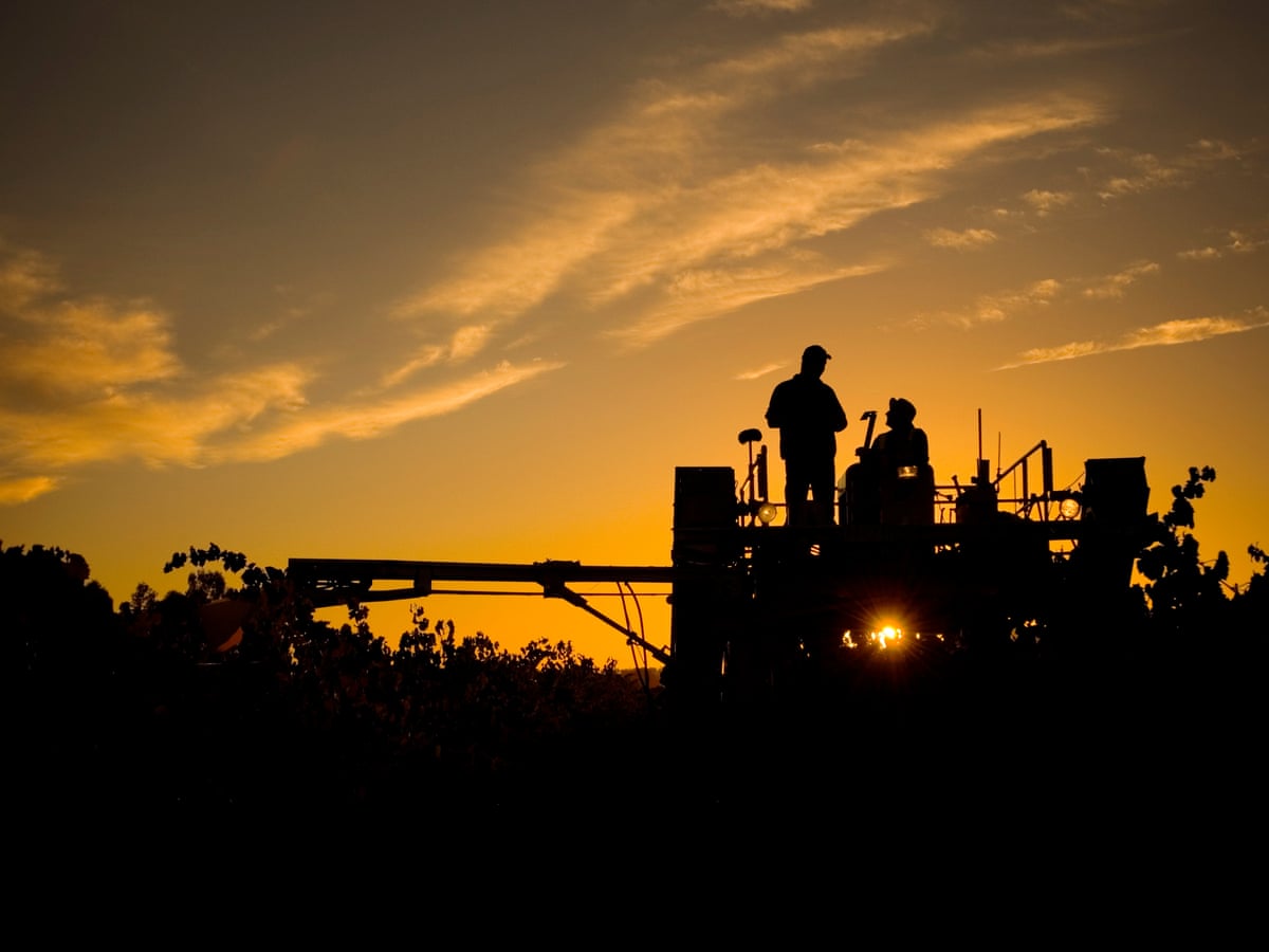 A Third Of Australia S Foreign Workers Paid Less Than Half Minimum