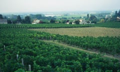 A rural scene in the Bordeaux region of France