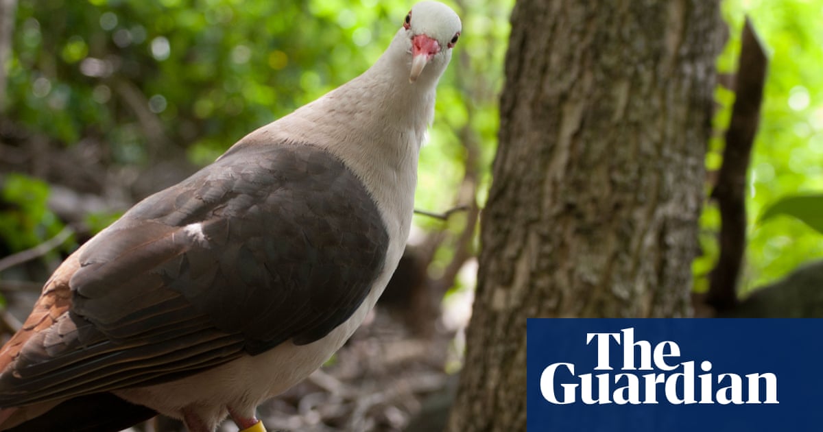 A new conservation tool could help put thousands of threatened animal and plant species on the road to recovery, allowing creatures such as the Sumatr