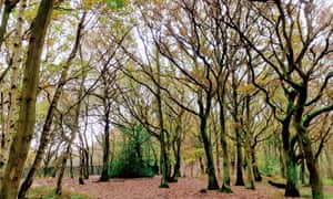 Conkers Circuit, National Forest, Derbyshire
