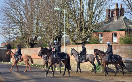 Horses head out to the gallops at Newmarket racecourse on Tuesday.