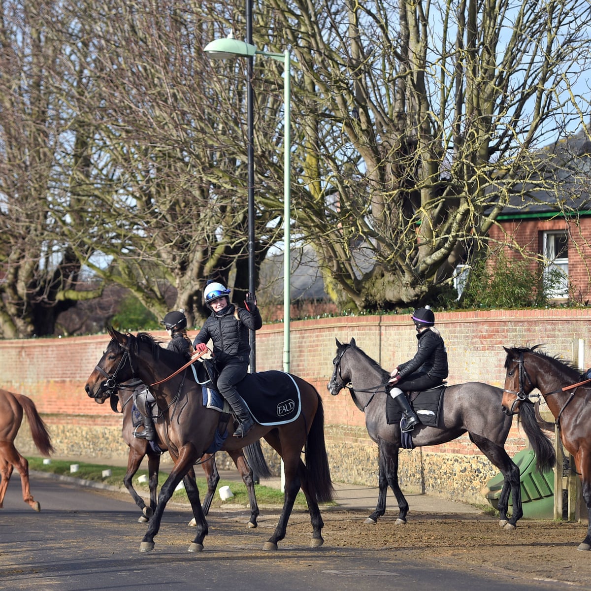 It S A Complete Shambles Trainers Rail At New Protocols After Flu Outbreak Horse Racing The Guardian It S A Complete Shambles Trainers Rail At New Protocols After Flu Outbreak Horse Racing The Guardian