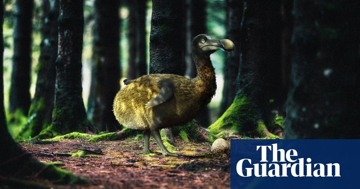 Gene editing company hopes to bring dodo âback to lifeâ | Extinct wildlife | The Guardian