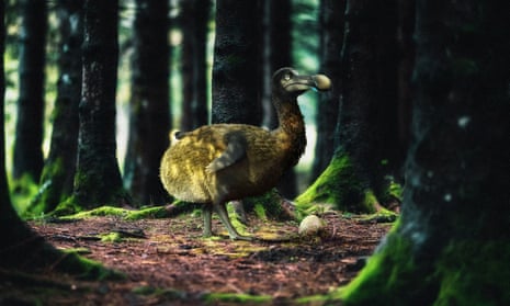 Colossal Biosciences image of a dodo