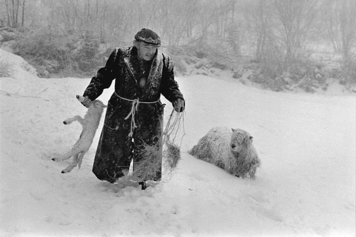 Scenes from Devon's rural past – in pictures | Art and design | The Guardian