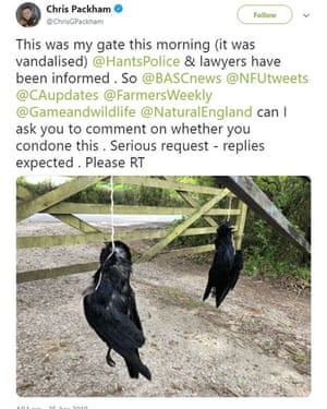 Chris Packham's Tweet.