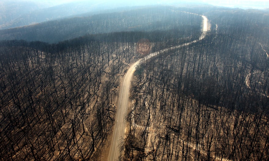 A burnt-out forest in Kinglake after the Black Saturday fires of 2009.