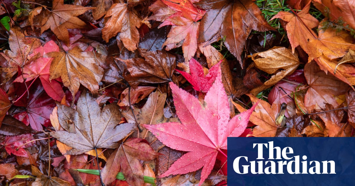 National Trust and TV wildlife expert team up on autumn nature campaign