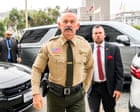 California sheriff ordered to return ballots he confiscated in voter ‘fraud’ inquiry