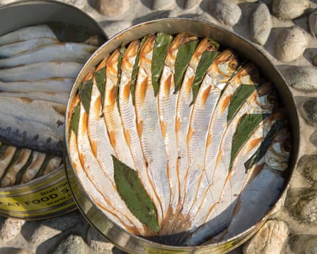 Dried fish, neatly fanned out in a can.