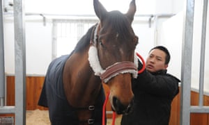 The horse given by Macron to Xi Jinping on the French president’s visit to China