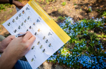 The national bee survey in Netherlands.