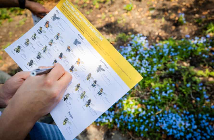 The national bee survey in Netherlands.