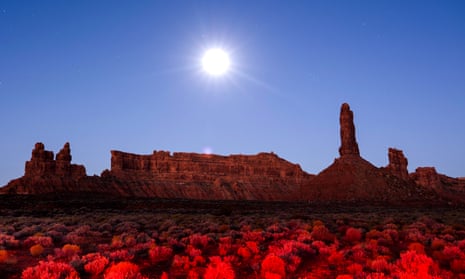 Sandstone buttes rise from the Valley of the Gods under a full moon in Bears Ears national monument, Utah, which Donald Trump reduced in size by 85%.
