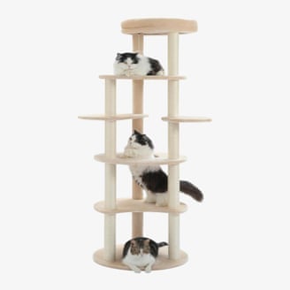 Your indoor cat is bored. Here are toys and tools to fix that | cats 1000
