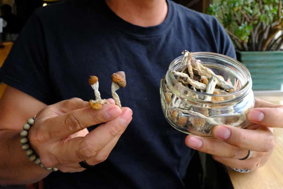 A grand experiment': how 'shrooms made Denver America's most drug-friendly city | Denver | The Guardian A grand experiment': how 'shrooms made Denver America's most drug-friendly city | Denver | The Guardian