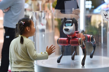 Young girl puts her hand up to case around AI robot dog
