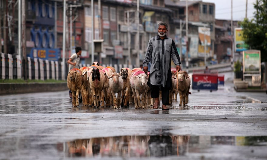A man walks with a herd of sheep in a deserted road in Srinagar.