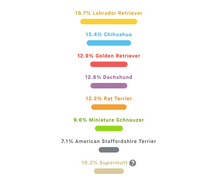 Super online mutt breed