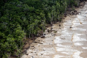 O Oceano Atlântico invade a floresta na costa do Brasil