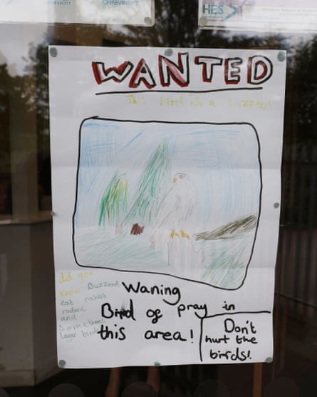 child’s wanted poster for Brenda the buzzard