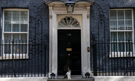 Larry the cat waiting for Joe Biden to arrive in Downing Street this morning.
