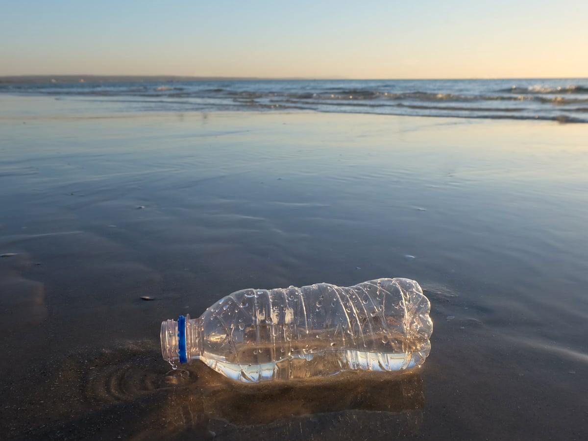 Bin Liners To Takeaway Containers Ideas To Solve Your Plastic Conundrums Plastics The Guardian