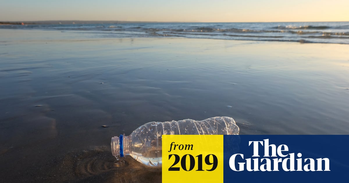 'Ditch cling film and switch to soap': 10 easy ways to reduce your plastics use in 2019