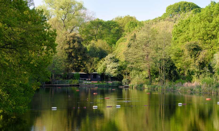 Hampstead Heath - empty swimming lakes - apart from ducks
