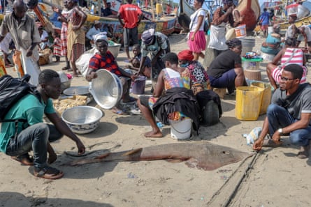 Two men crouch down to measure a large guitarfish fin laid out on the sand in a busy market. Behind them people sit and stand around with baskets and containers. Two fishing boats are in the background.