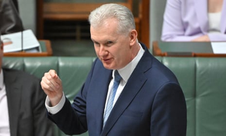 Singtel rejects Optus claims it caused network outage; gillnet fishing ...