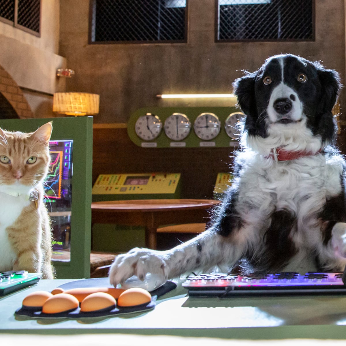 Cats Dogs Paws Unite Review Unfunny Third Instalment Of The Pet Centric Yarn Film The Guardian