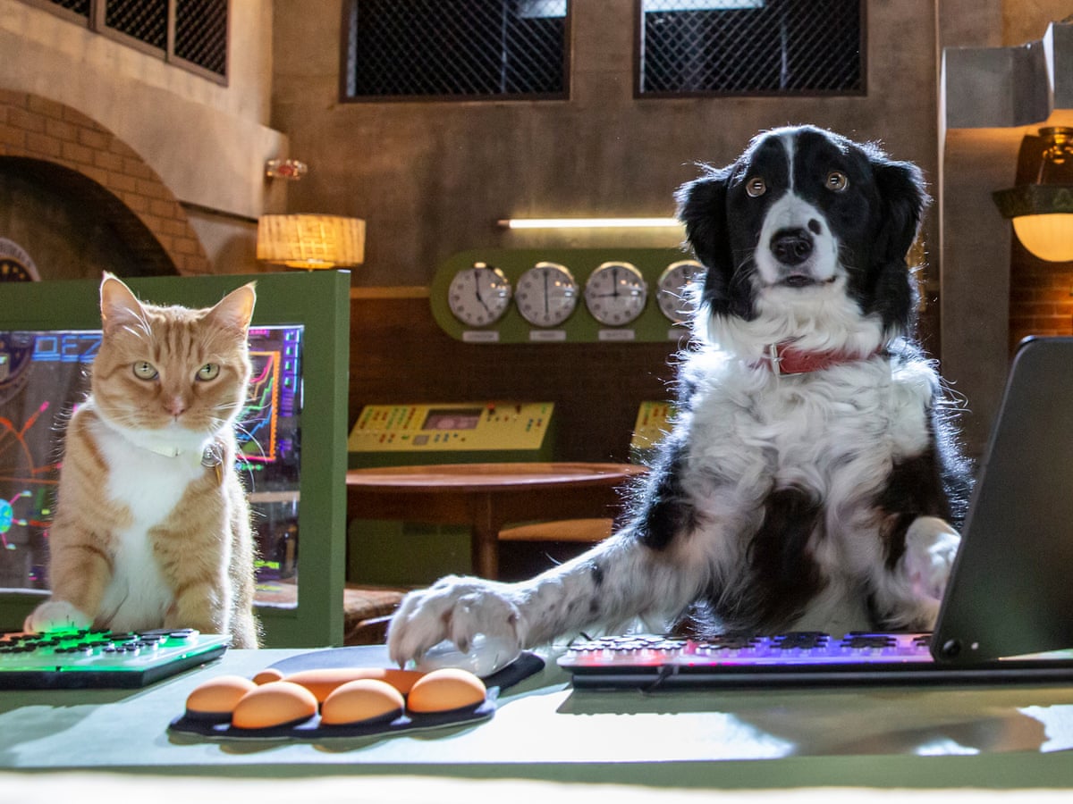 Cats Dogs Paws Unite Review Unfunny Third Instalment Of The Pet Centric Yarn Film The Guardian
