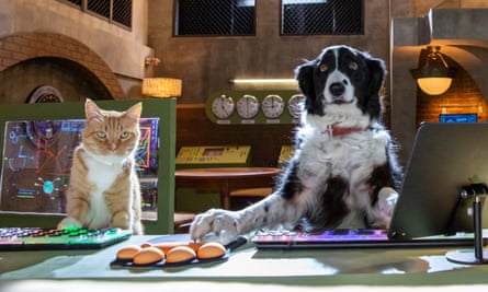 Cats Dogs Paws Unite Review Unfunny Third Instalment Of The Pet Centric Yarn Film The Guardian