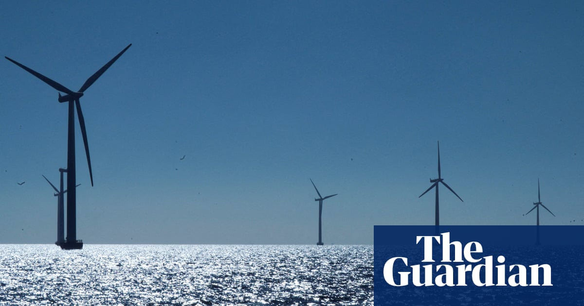 Danish windfarm firm Ørsted to axe up to 800 jobs and pause dividend | Energy industry