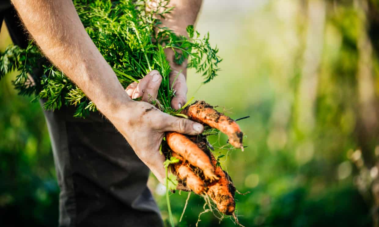 Organic farming has a vital role to play in creating a sustainable world