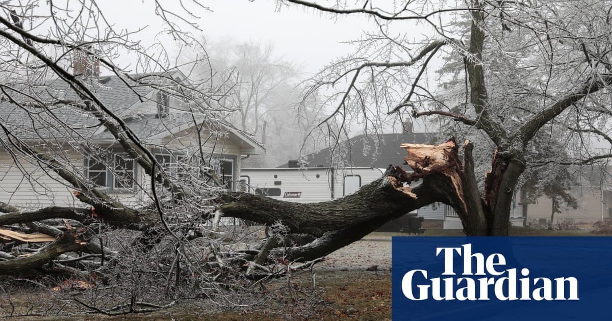 Why effects of Michigan's ice storm will linger for months, perhaps years