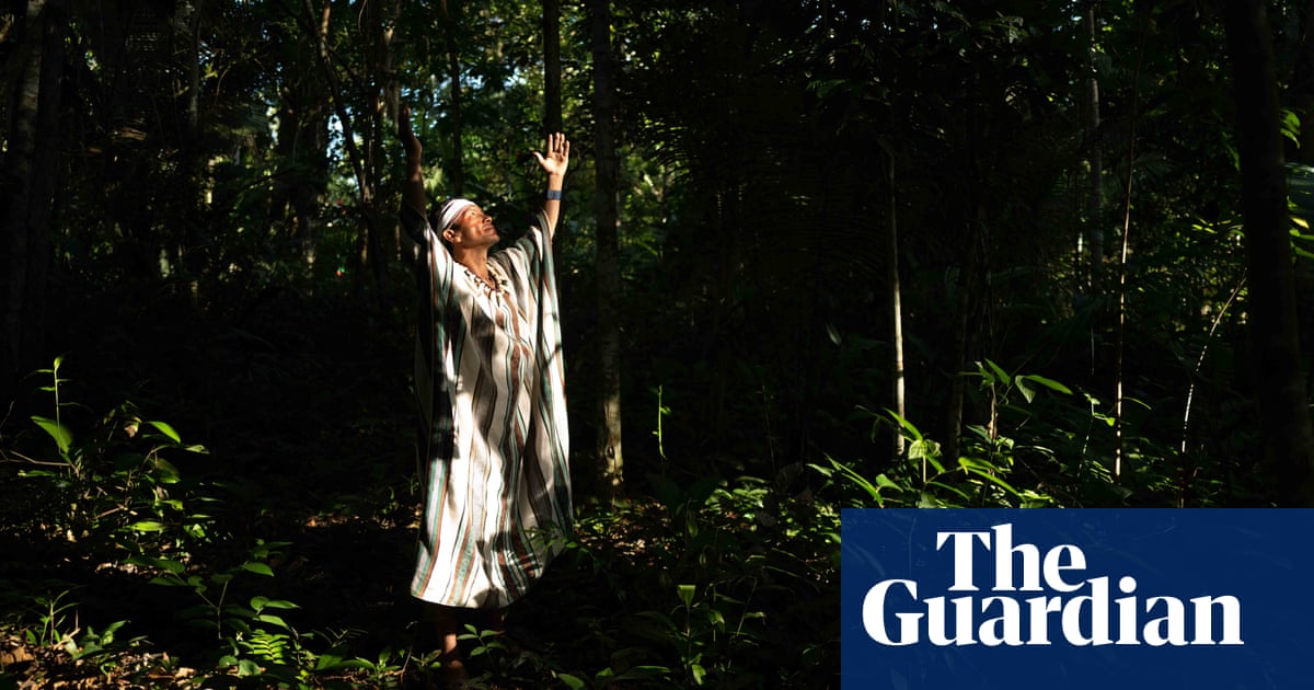 A long-time collaborator and friend of the journalist Dom Phillips, Nicoló Lanfranchi was due to travel with him and the Brazilian Indigenous expert 