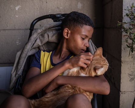 Boy sitting in a chair stroking a cat