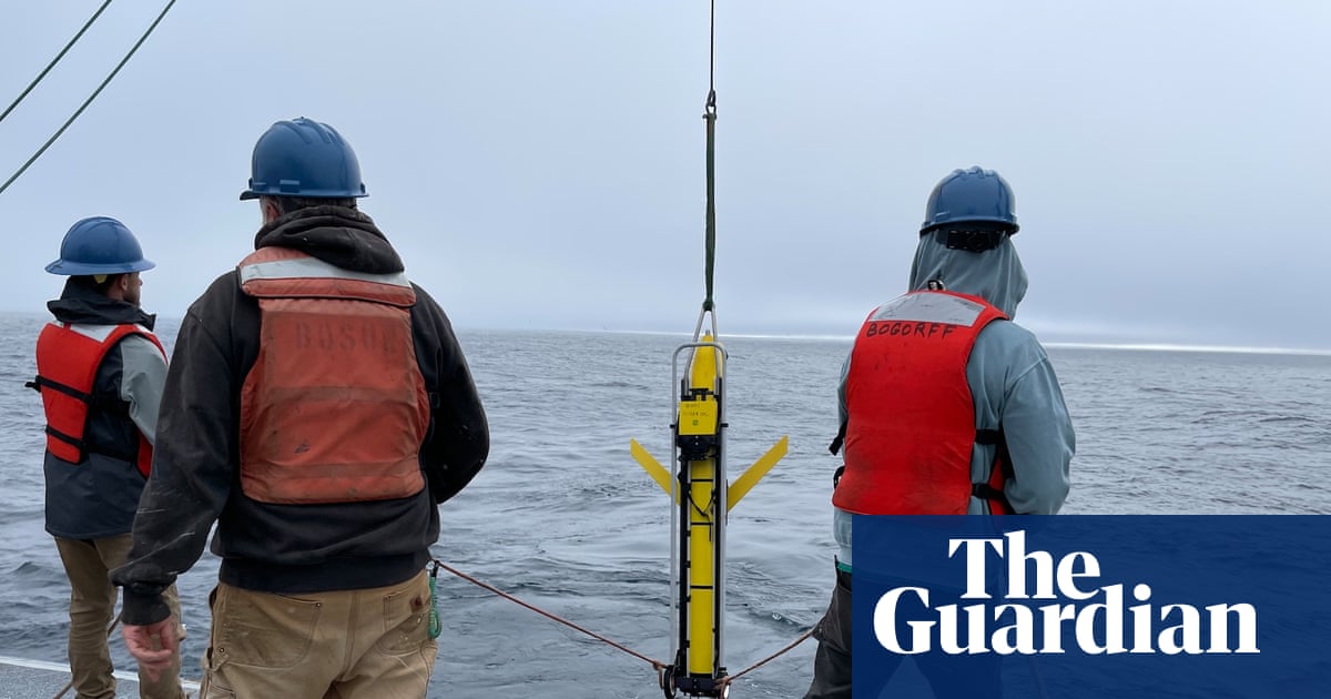 Artist’s impression of the Trump administration bravely defending fossil fuels from the violent threat of thermometers at the bottom of the ocean.