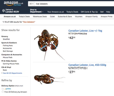 Live lobsters for sale on Amazon