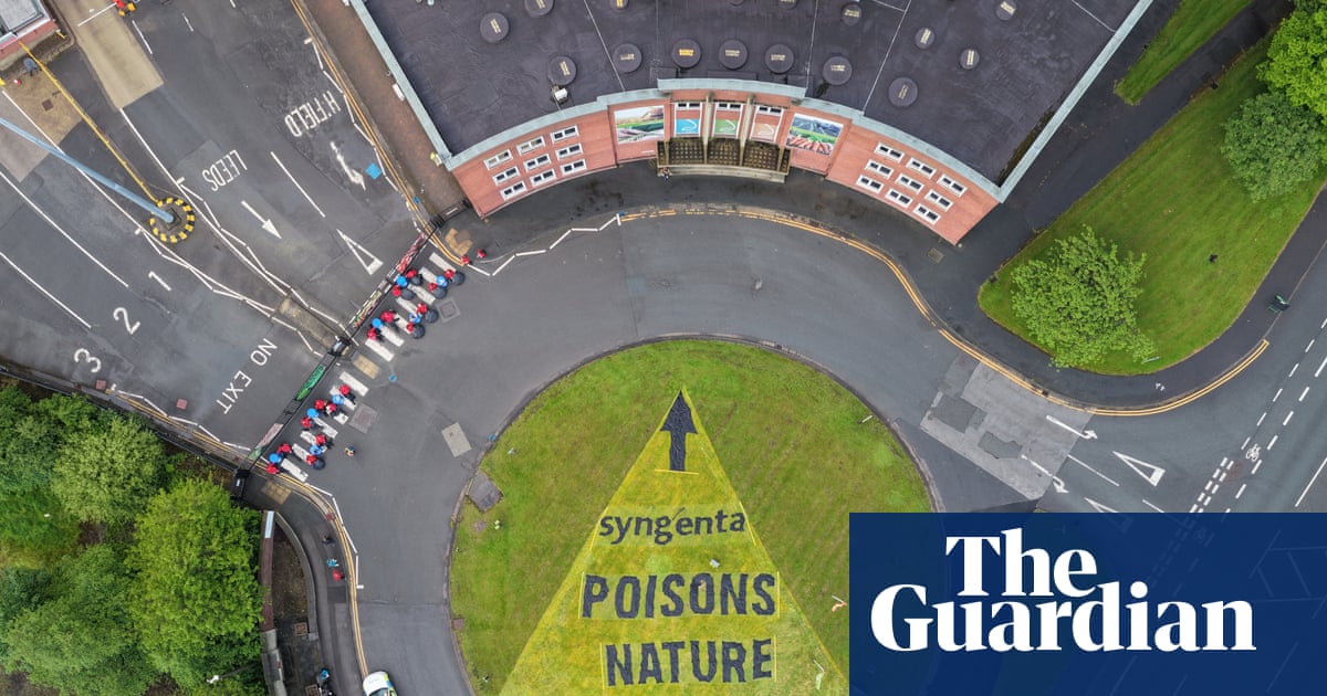 Greater than 40 arrests made after UK activists goal ‘bee-killing’ pesticides Greater than 40 arrests made after UK activists goal ‘bee-killing’ pesticides